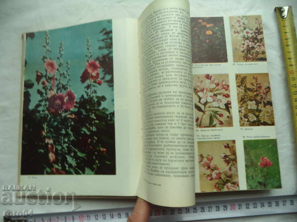 A BOOK FOR EVERY DAY AND FOR EVERY HOME - 7 A BOOK FOR EVERY DAY AND FOR EVERY HOME - 7