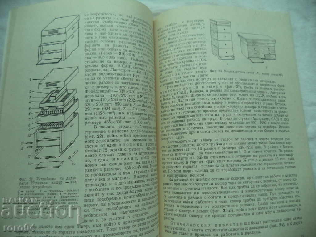 GUIDE TO BEEKEEPING EXERCISES WITH BEES - POLLINATION - 6 GUIDE TO BEEKEEPING EXERCISES WITH BEES - POLLINATION - 6