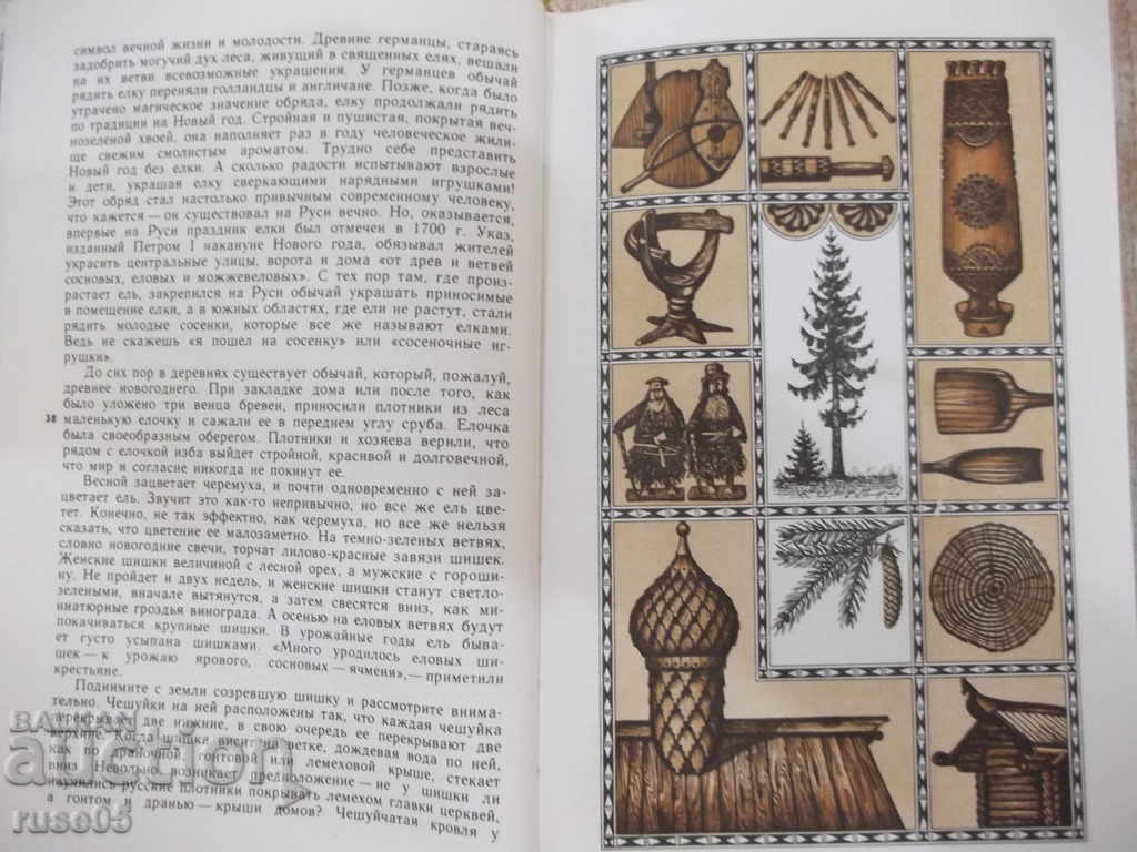 Delivery of The book "The Magic World of the Tree - G. Fedotov" - 258 pages. Delivery of The book "The Magic World of the Tree - G. Fedotov" - 258 pages.