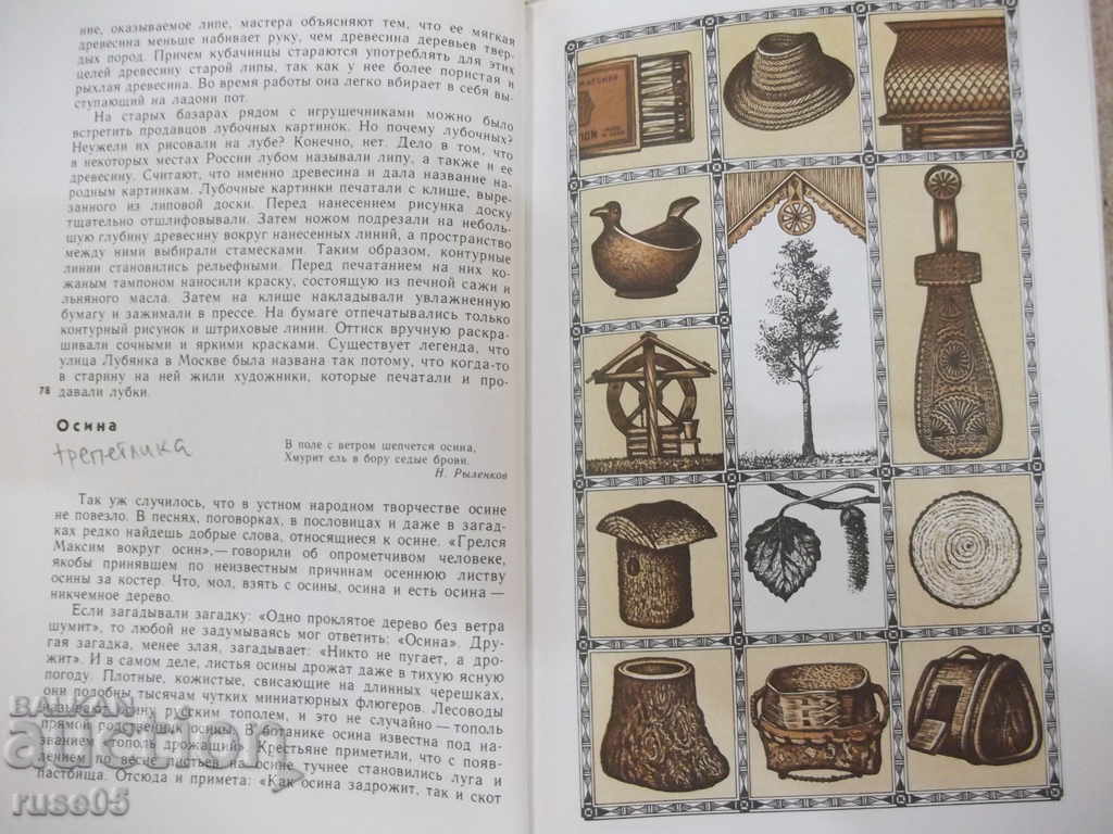 The book "The Magic World of the Tree - G. Fedotov" - 258 pages. - 5 The book "The Magic World of the Tree - G. Fedotov" - 258 pages. - 5