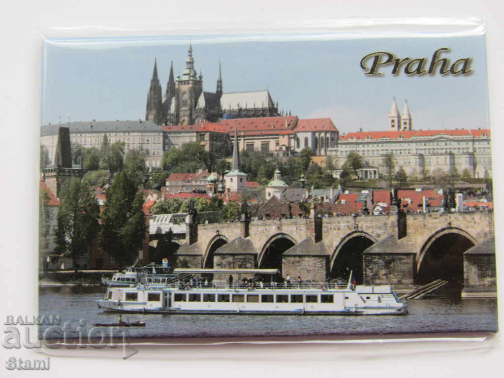 Metal magnet from Prague, Czech Republic -6