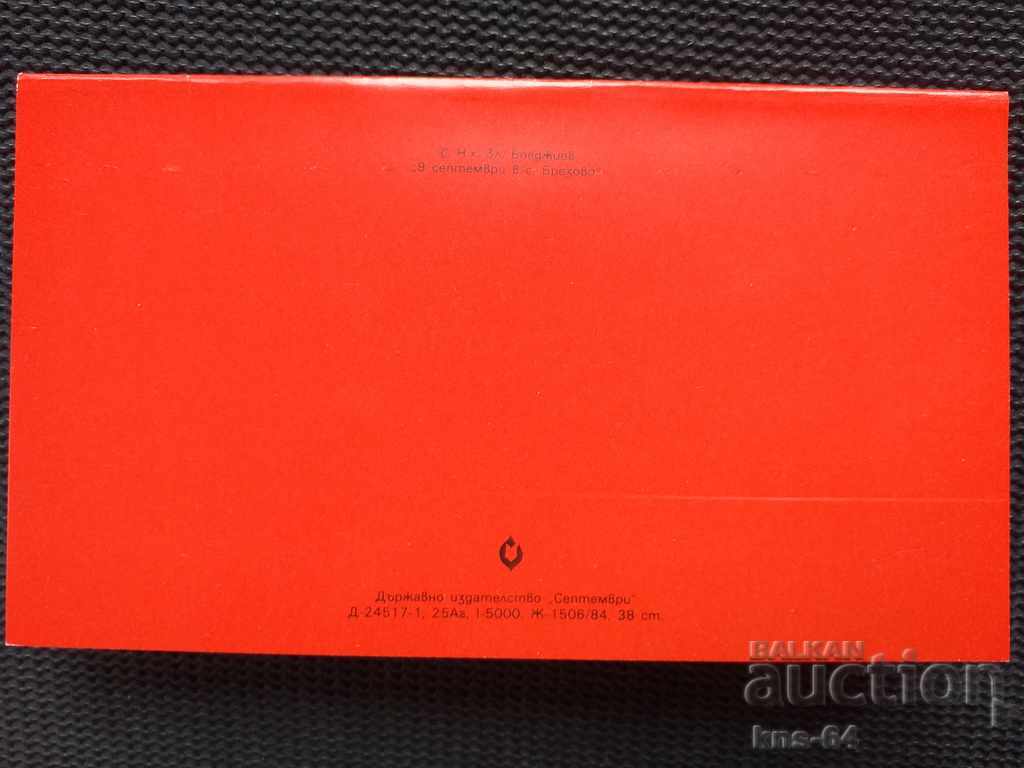 Auction  Social propaganda September 9th