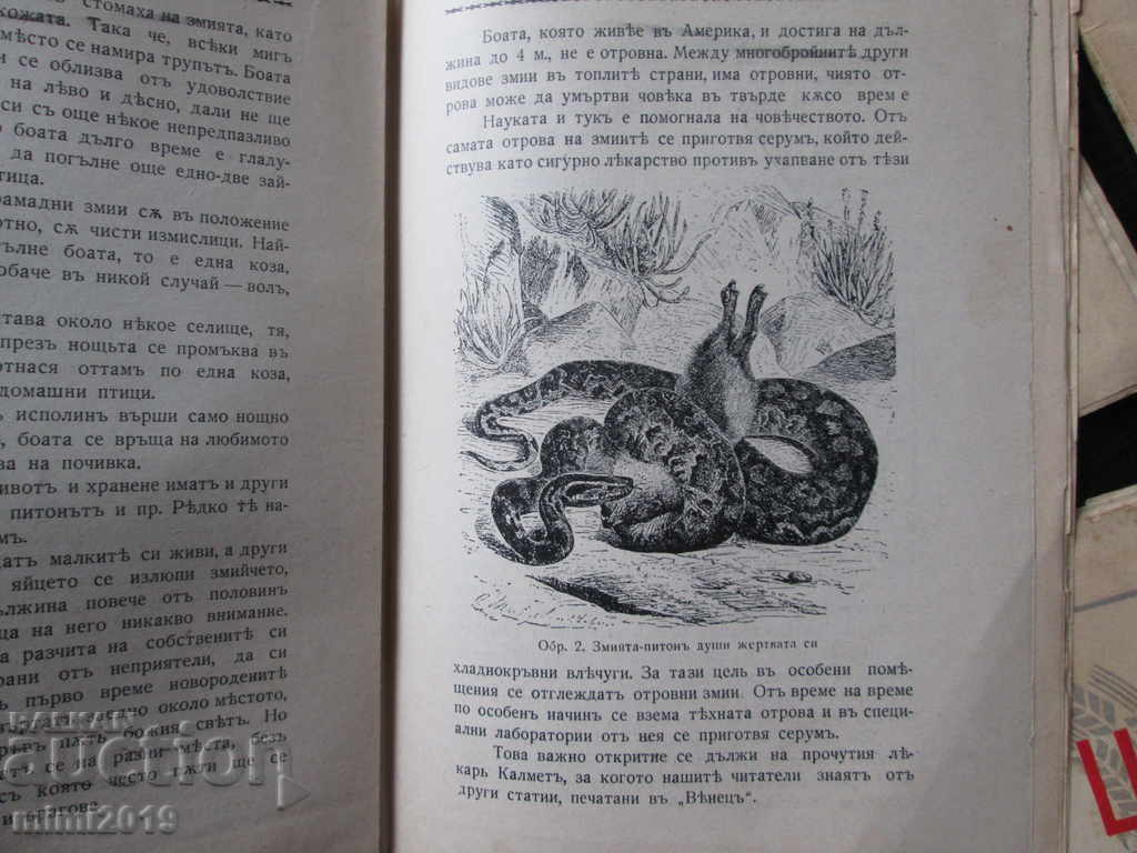 Old children's magazine "VENETS" - 10 issues - 5 Old children's magazine "VENETS" - 10 issues - 5