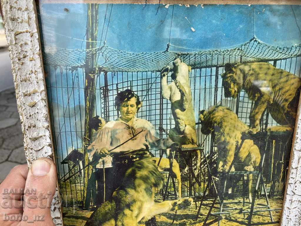 Delivery of 10378. Old photo frame magazine circus 1959 Delivery of 10378. Old photo frame magazine circus 1959