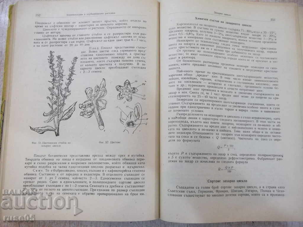 Delivery of Book "Plant Breeding - Hristo Koedzhikov" - 516 pages. Delivery of Book "Plant Breeding - Hristo Koedzhikov" - 516 pages.
