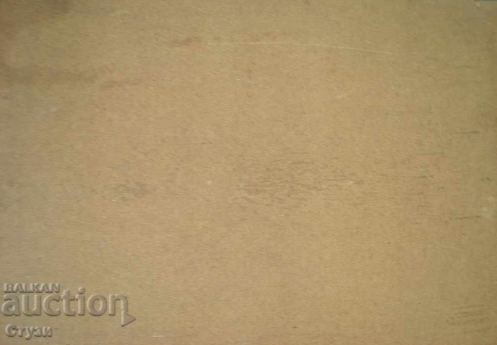 Tablou vechi, Natura moartă de K. Petrenko, ulei, 49,5x69,5 cm - 6