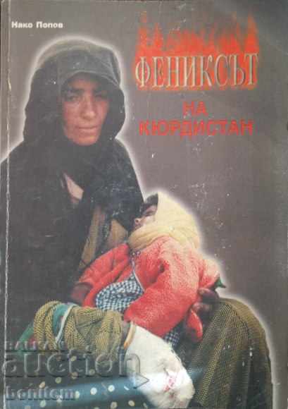 Фениксът на Кюрдистан - Нако Попов