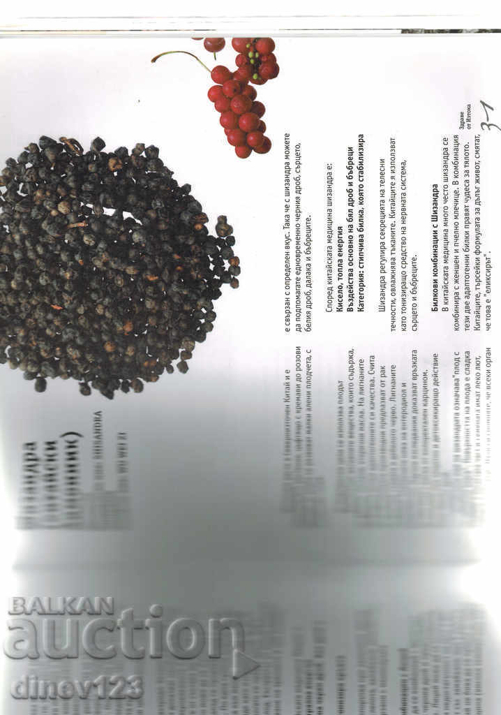 HEALTH FROM THE EAST - NADIA GANCHEVA - 5