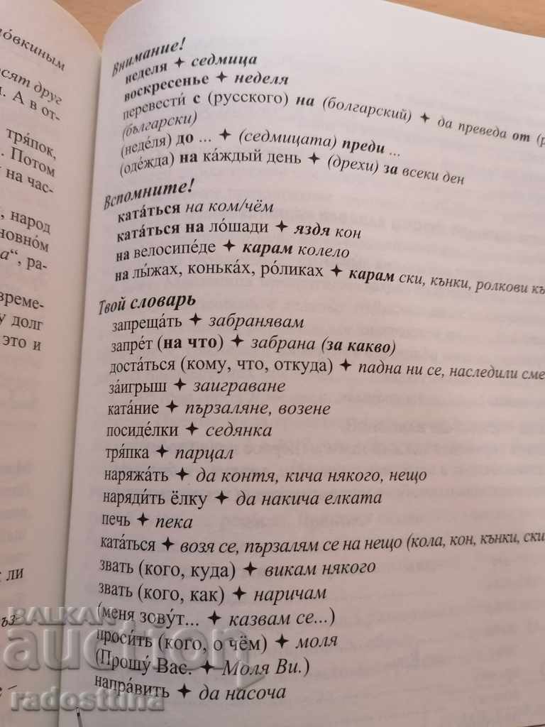 Russian mosaic by Liana Gocheva - 7 Russian mosaic by Liana Gocheva - 7