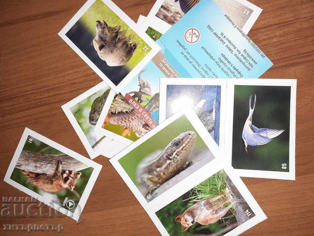 Autocolante Bila animal planetă ANIMAL PLANET descoperiri cu preț 0.19 BGN | € 0.10 Autocolante Bila animal planetă ANIMAL PLANET descoperiri cu preț 0.19 BGN | € 0.10