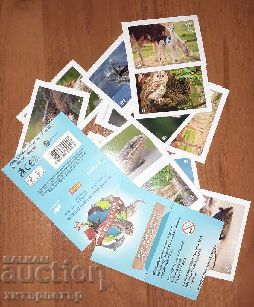 Autocolante Bila animal planetă ANIMAL PLANET descoperiri Autocolante Bila animal planetă ANIMAL PLANET descoperiri