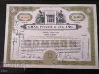 Share certificate Chas. Pfizer & Co. Inc. | 1954