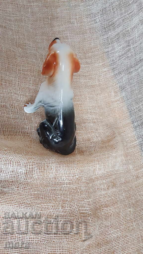 Delivery of Little porcelain puppy Delivery of Little porcelain puppy