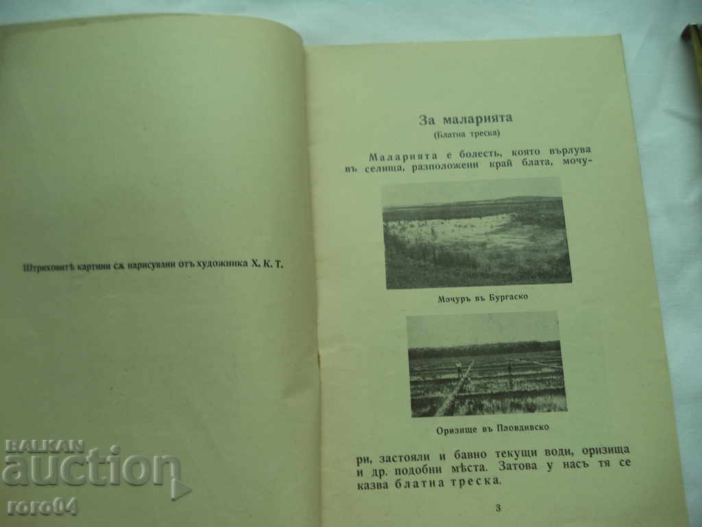 Auction WHAT EVERYONE SHOULD KNOW ABOUT MALARIA Auction WHAT EVERYONE SHOULD KNOW ABOUT MALARIA