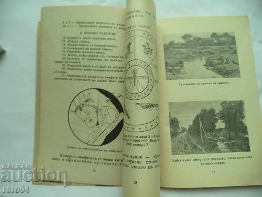 WHAT EVERYONE SHOULD KNOW ABOUT MALARIA - 6 WHAT EVERYONE SHOULD KNOW ABOUT MALARIA - 6