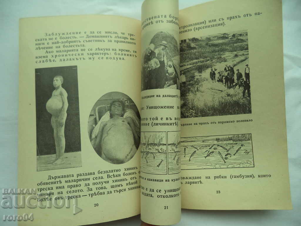 WHAT EVERYONE SHOULD KNOW ABOUT MALARIA - 7 WHAT EVERYONE SHOULD KNOW ABOUT MALARIA - 7