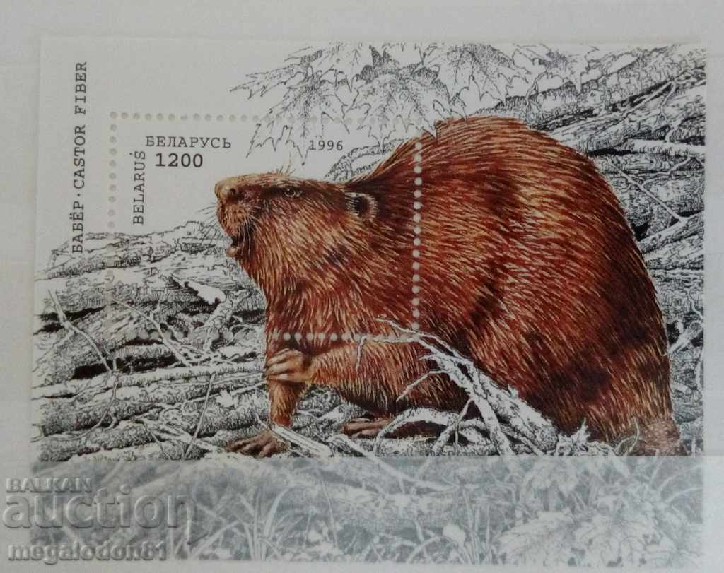 Belarus - beaver