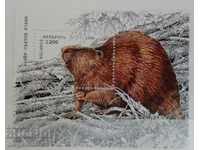 Belarus - beaver