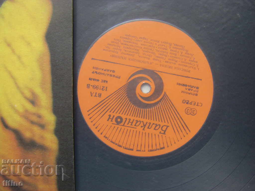 Аукцион ВТА 12199 - Роскана Белева - Кълбовидна мълния Аукцион ВТА 12199 - Роскана Белева - Кълбовидна мълния