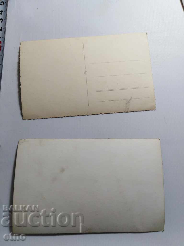 Auction ROYAL PHOTO-baby Auction ROYAL PHOTO-baby