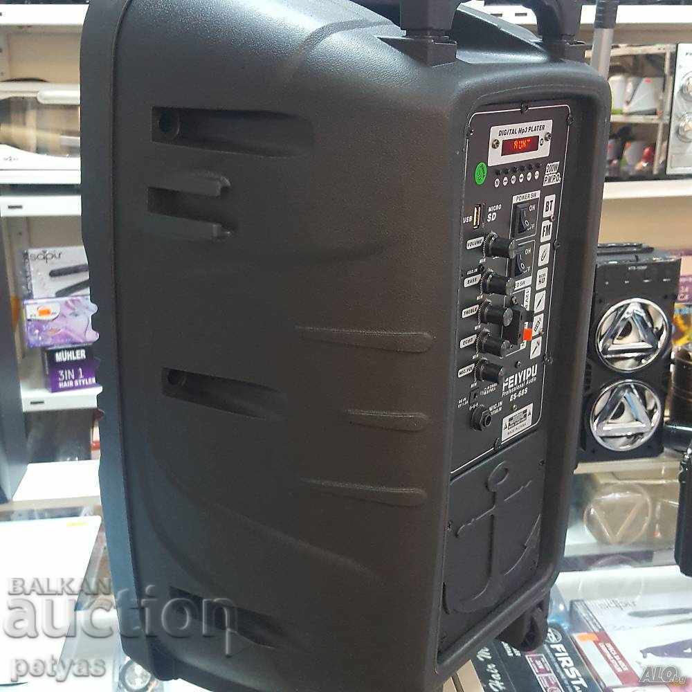 Livrarea Coloana de karaoke cu 2 difuzoare FEIYIPU ES-68S