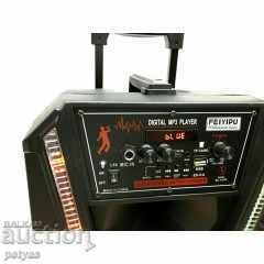 Δημοπρασία Ηχείο καραόκε με μικρόφωνο FEIYPIU ES-V-8 Δημοπρασία Ηχείο καραόκε με μικρόφωνο FEIYPIU ES-V-8