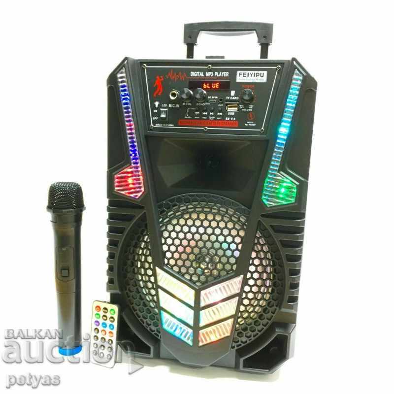 Παράδοση Ηχείο καραόκε με μικρόφωνο FEIYPIU ES-V-8 Παράδοση Ηχείο καραόκε με μικρόφωνο FEIYPIU ES-V-8