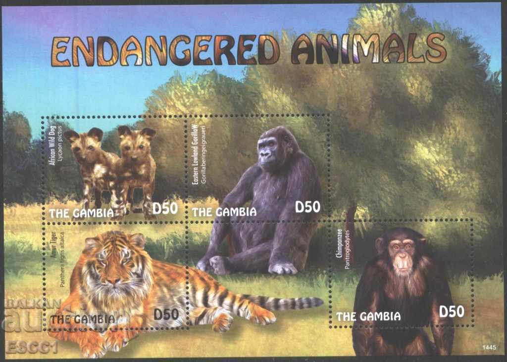 Чисти марки  малък лист Фауна Застрашени животни 2014 Гамбия