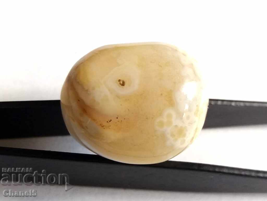 Auction  NATURAL ONYX - BEAUTIFUL, COLLECTIVE (184)