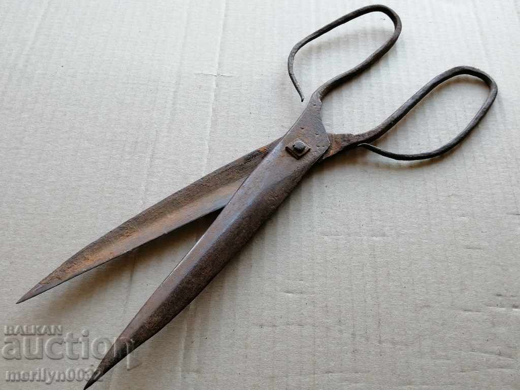 Livrarea foarfece Renaissance forjate, fier