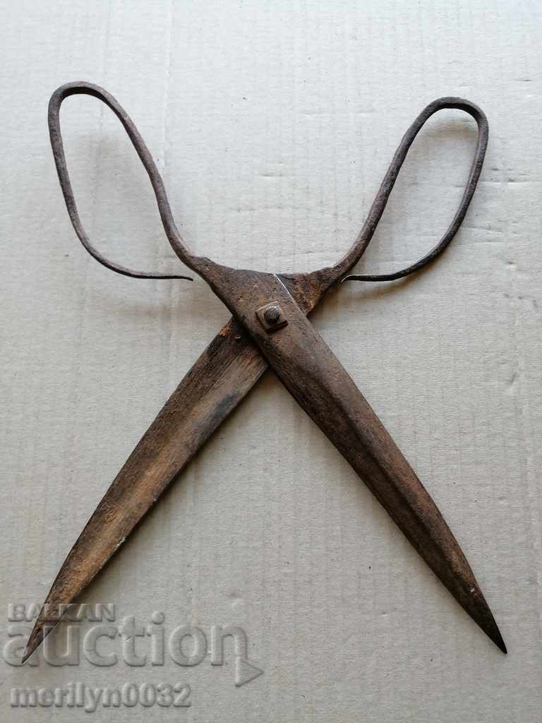 foarfece Renaissance forjate, fier - 6