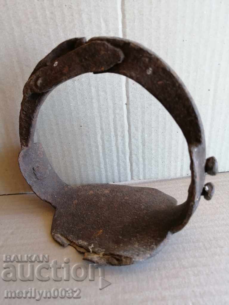 Delivery of Strive for a cavalry horse