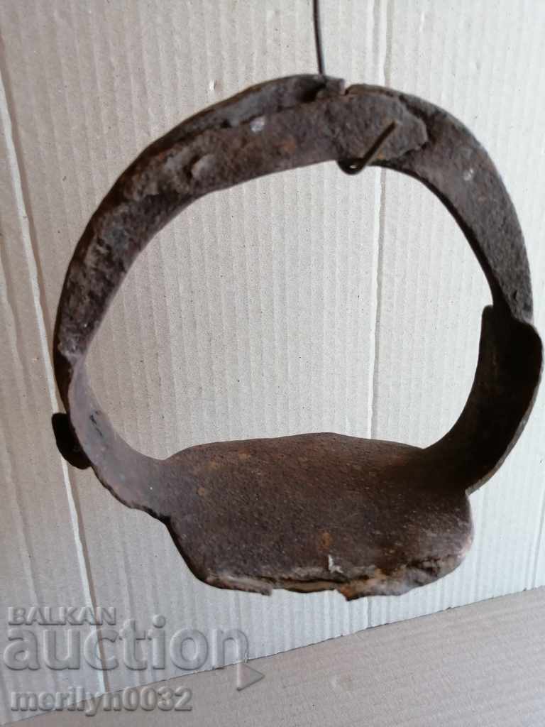 Strive for a cavalry horse - 6