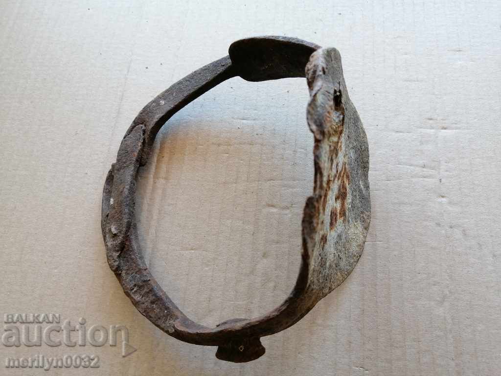 Strive for a cavalry horse - 7