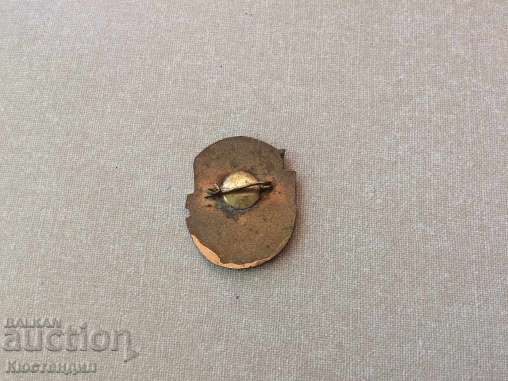 OLD BADGE SIGN FOR ACTIVE TRADE UNION WORK with price 3.00 BGN | € 1.53 OLD BADGE SIGN FOR ACTIVE TRADE UNION WORK with price 3.00 BGN | € 1.53