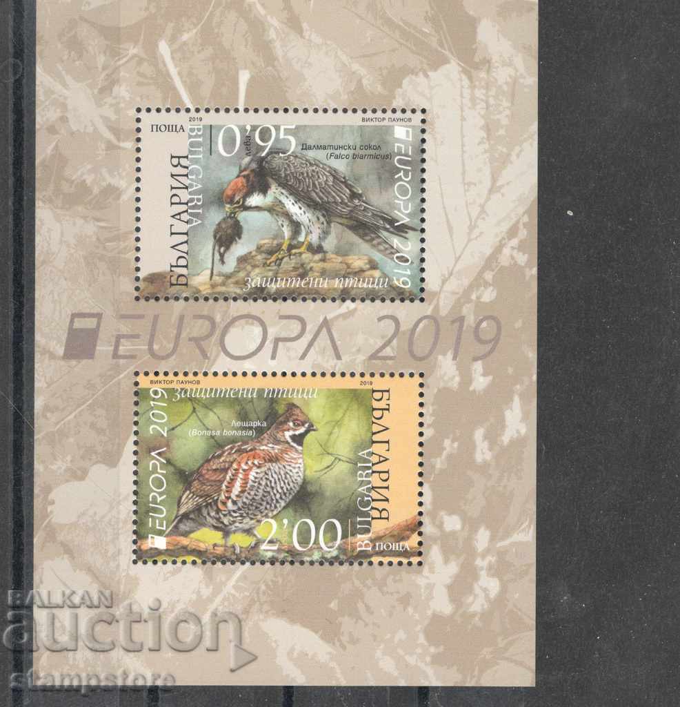 Europe Bulgaria Birds 2019