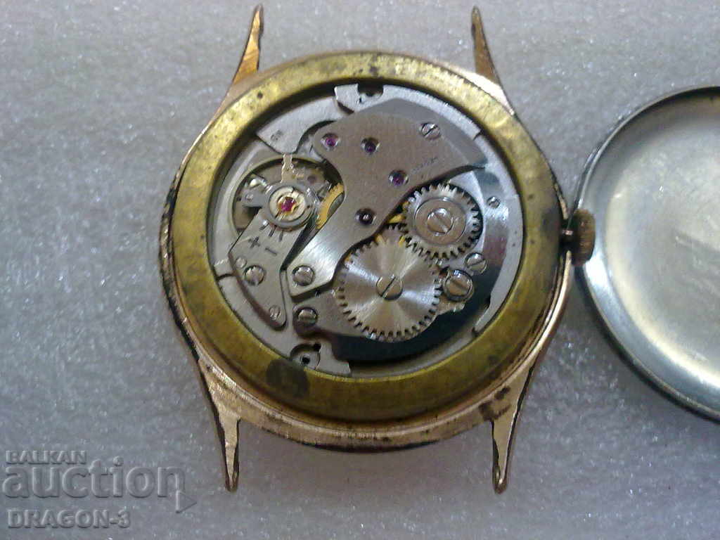 Auction GOLDEN CREATION Auction GOLDEN CREATION