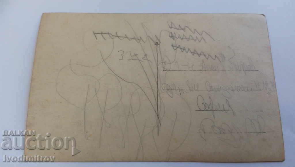 Postcard Pirin Demyanitsa with price 2.15 BGN | € 1.10