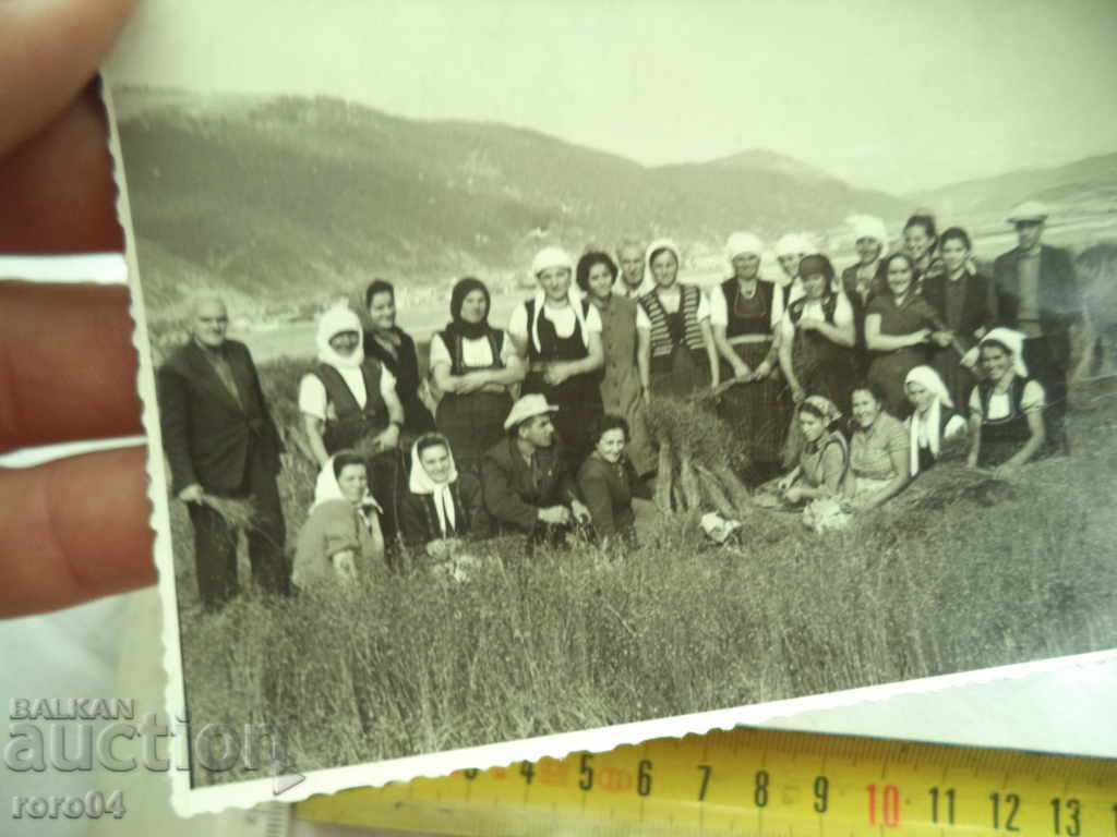 Auction Plucking flax - GOVEDARTSI VILLAGE - SAMOKOVSKO Auction Plucking flax - GOVEDARTSI VILLAGE - SAMOKOVSKO