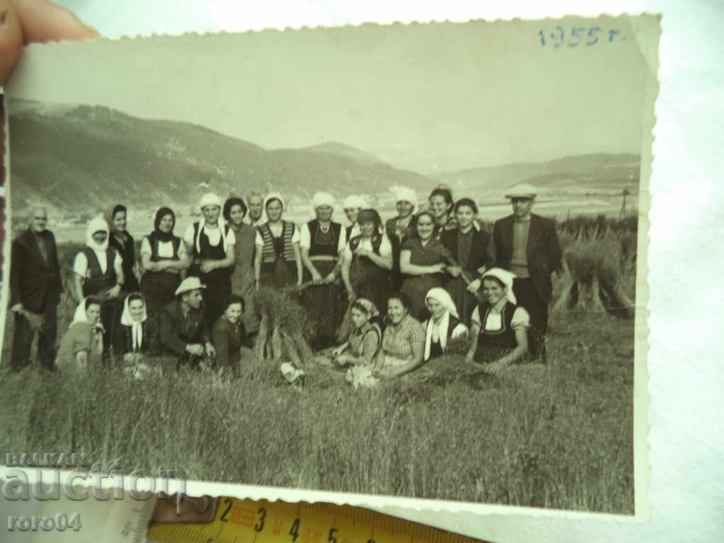 Delivery of Plucking flax - GOVEDARTSI VILLAGE - SAMOKOVSKO Delivery of Plucking flax - GOVEDARTSI VILLAGE - SAMOKOVSKO