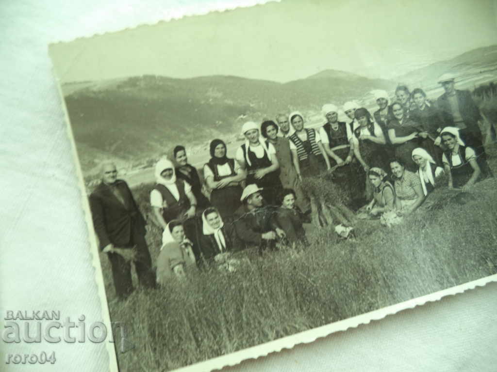 Plucking flax - GOVEDARTSI VILLAGE - SAMOKOVSKO - 6 Plucking flax - GOVEDARTSI VILLAGE - SAMOKOVSKO - 6