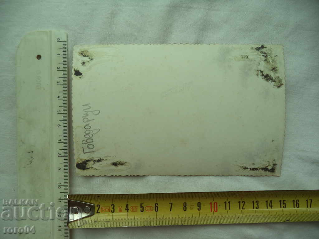 WEARS THE VILLAGE OF GOVEDARTSI - SHIZE SHIRT - 7 WEARS THE VILLAGE OF GOVEDARTSI - SHIZE SHIRT - 7