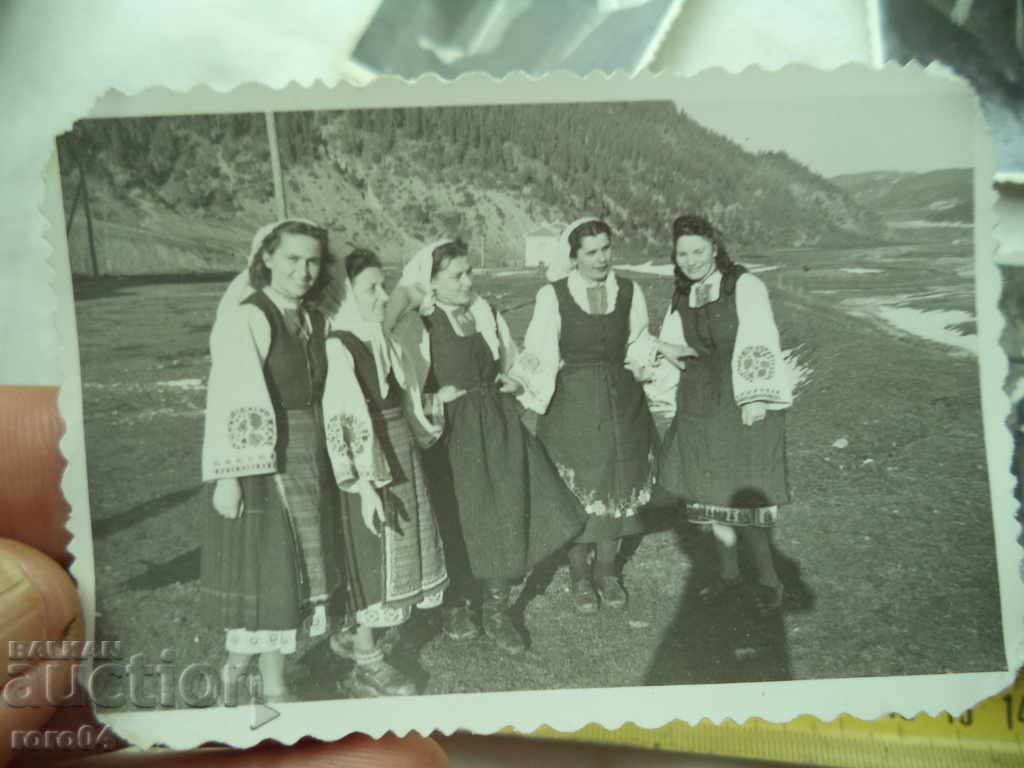 Delivery of WEARS THE VILLAGE OF GOVEDARTSI - SHIZE SHIRT