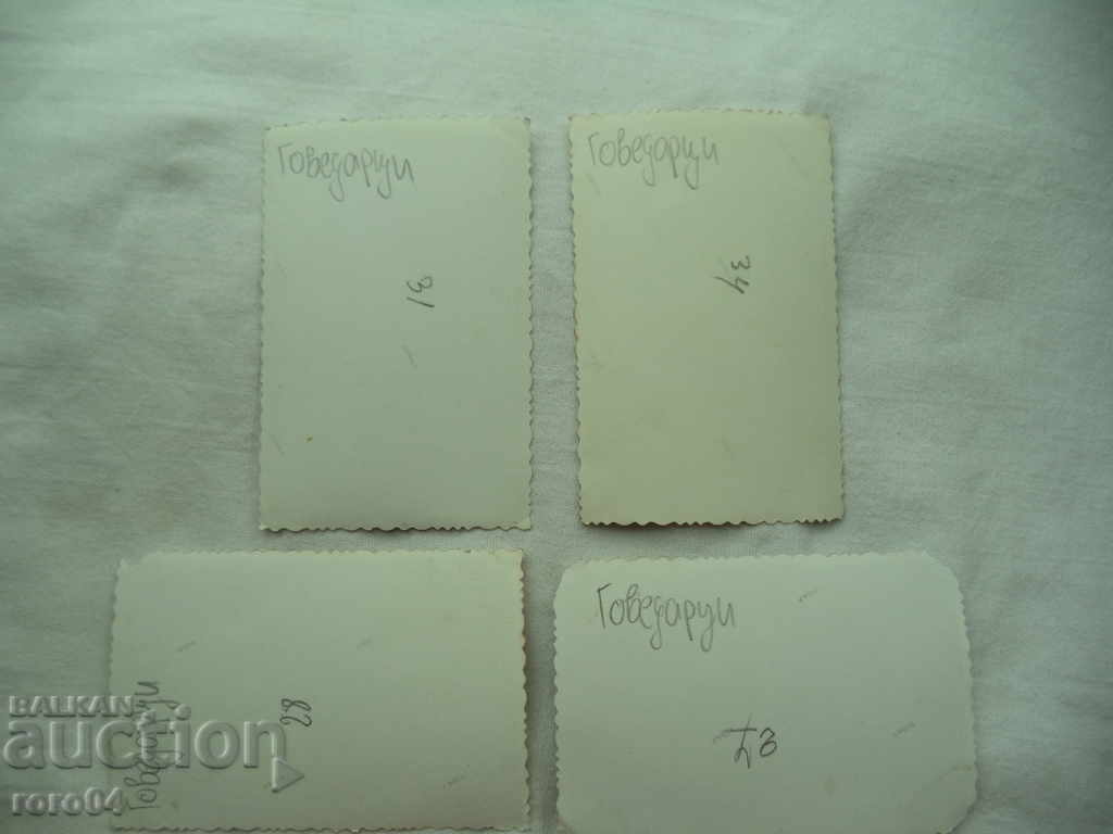 WEARS THE VILLAGE OF GOVEDARTSI - SHIZE SHIRT - 7