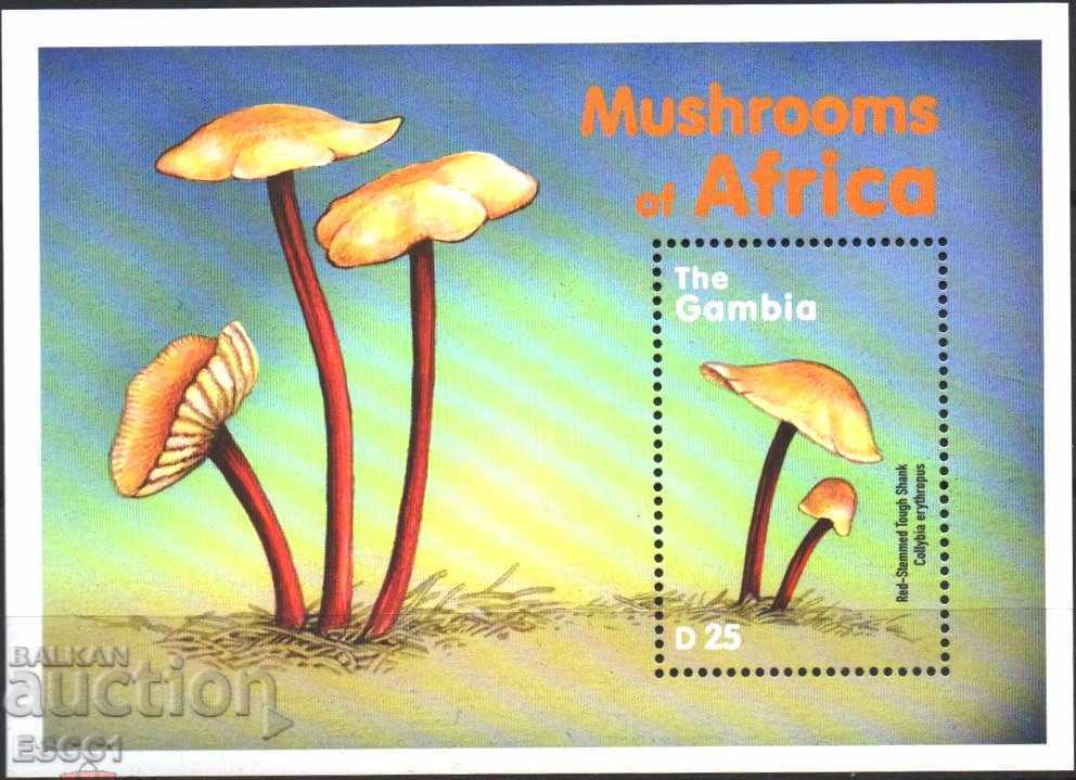 Pure Block Flora Mushrooms 2000 din Gambia