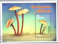 Pure block Flora Mushrooms 2000 from Gambia