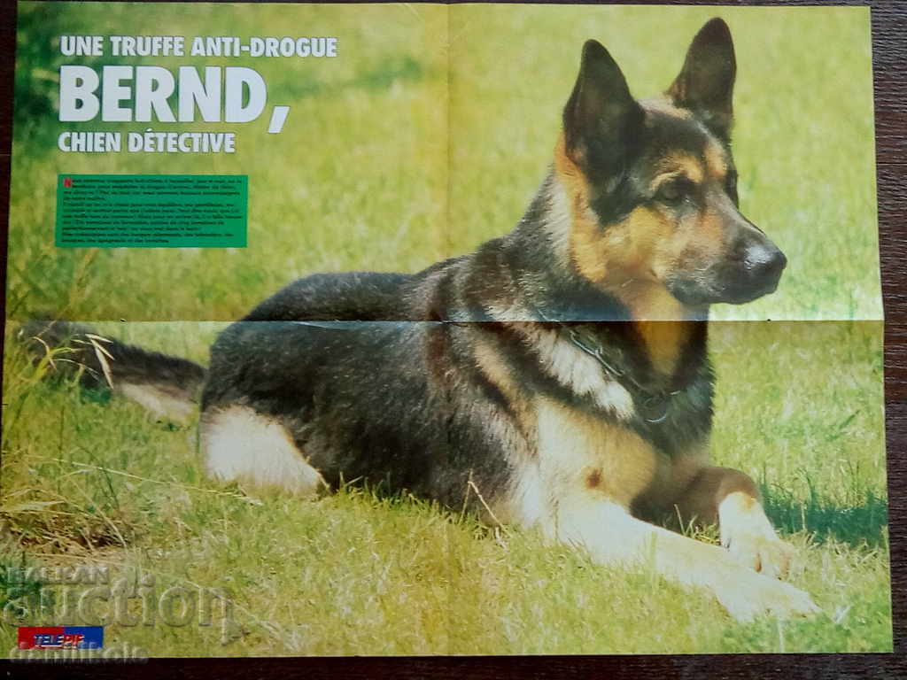 *$*Y*$* PIF MAGAZINE POSTER PIF POSTER - 1987 *$*Y*$* - 6 *$*Y*$* PIF MAGAZINE POSTER PIF POSTER - 1987 *$*Y*$* - 6