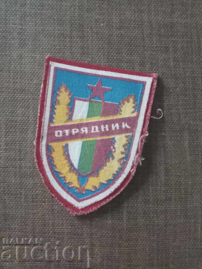 Detachment - emblem, sleeve