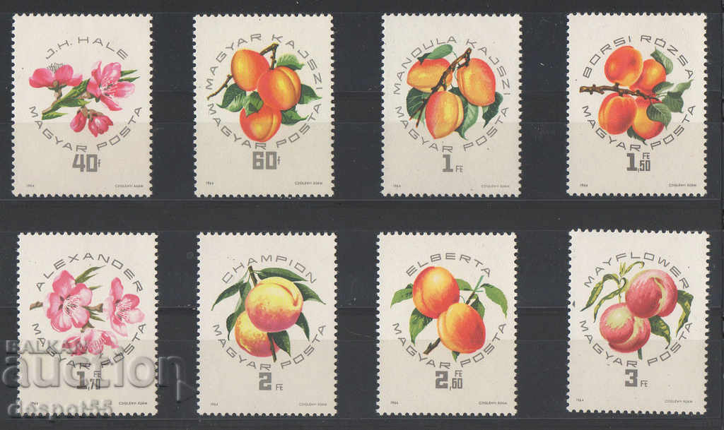 1964. Ουγγαρία. Φρούτα - εθνική έκθεση ροδάκινων.