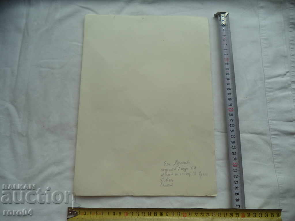 ЕЛИ СТАНЧЕВА  р.1956 г. - ЛИТИ - " ИВО " - 5